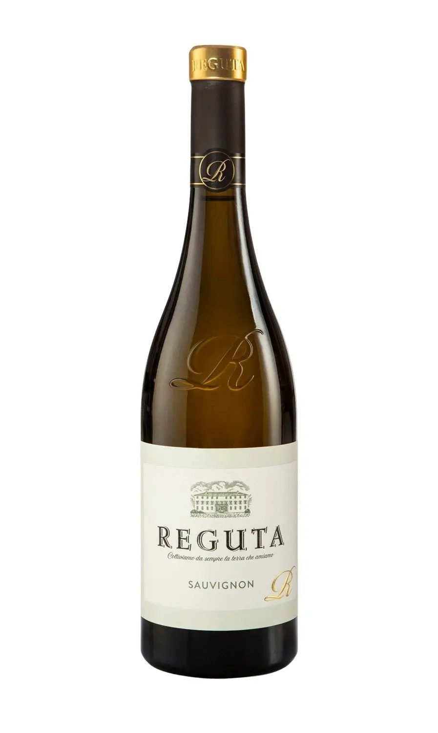 Sauvignon Blanc delle Venezie Sauvignon Blanc delle Venezie