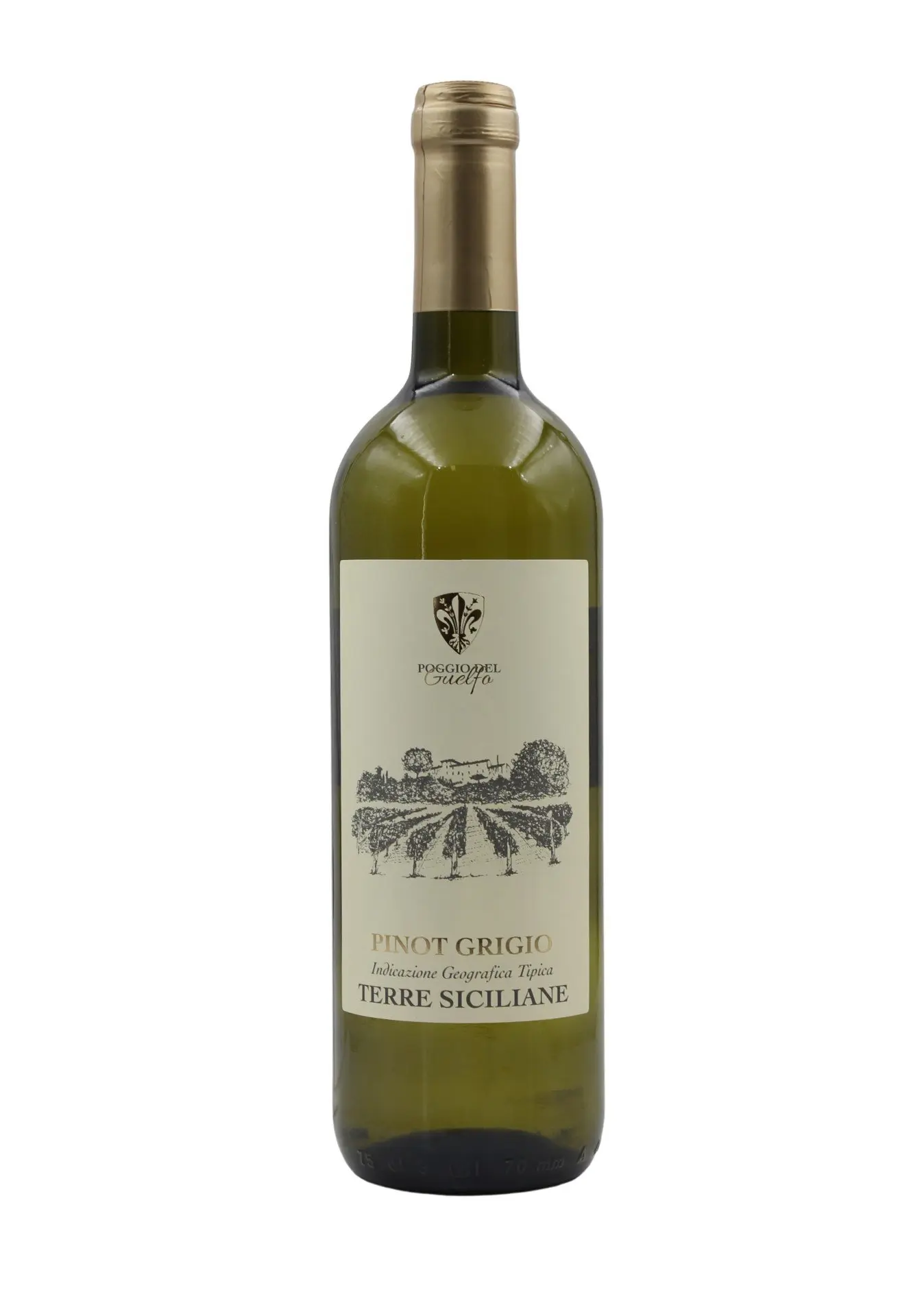Pinot Grigio